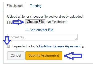 TII File Upload Diagram